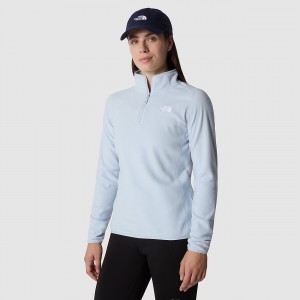 The North Face 100 Glacier 1/4 Zip Fleece Dusty Periwinkle | ZFVETR-196