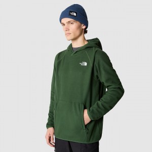 The North Face 100 Glacier Fleece Hoodie Pine Needle | LXZKHU-263