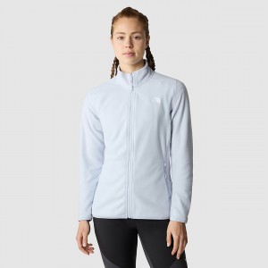 The North Face 100 Glacier Full-Zip Fleece Dusty Periwinkle | RZFCPE-982