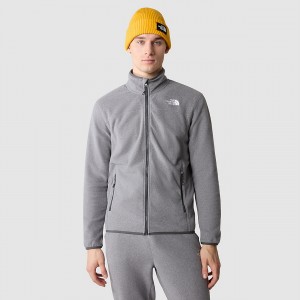 The North Face 100 Glacier Full-Zip Fleece γκρι | VJSMOH-283