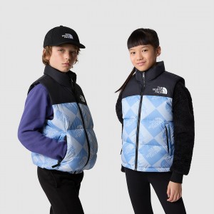 The North Face 1996 Retro Nuptse Gilet Dusty Periwinkle Logo Geometry Print | ELSMWF-620