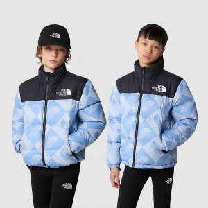 The North Face 1996 Retro Nuptse Jacket Dusty Periwinkle Logo Geometry Print | VTWCQH-364