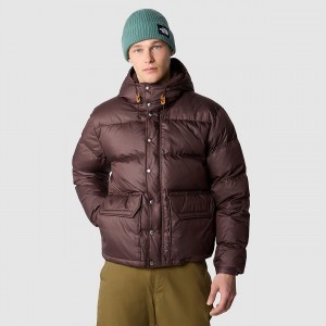 The North Face 71 Sierra Down κοντο Jacket καφε | ZBIPCJ-692