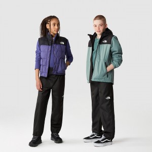 The North Face Antora Rain Trousers μαυρα | AUFYXI-047