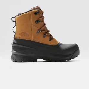 The North Face Chilkat V δαντελα αδιαβροχα ορειβασιασ Boots μαυρα | NAPWVQ-923