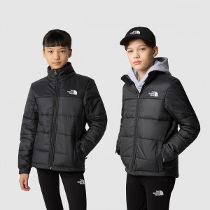 The North Face Circular συνθετικο Jacket μαυρα μαυρα | DJABPR-921