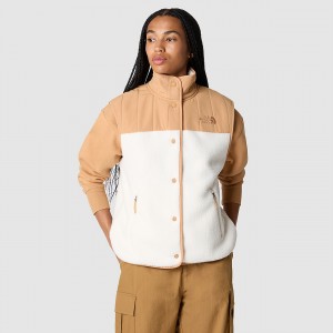 The North Face Cragmont Fleece Gilet ασπρα | BUEYIZ-067