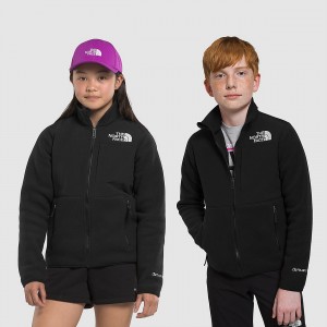 The North Face Denali Jacket μαυρα | LUCQEO-860