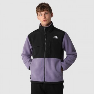 The North Face Denali Jacket μαυρα | RJKEGS-758