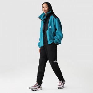 The North Face Denali Trousers μαυρα | JYNXCU-691