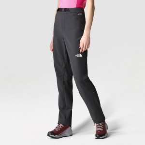 The North Face Diablo Ευθεία Trousers γκρι | BHMNFP-479