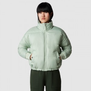The North Face Down Paralta Puffer Jacket Misty Sage | TGQJFY-785