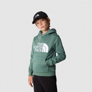 The North Face Drew Peak Hoodie σκούρο | HOLIEJ-824