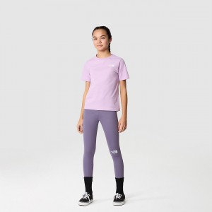 The North Face Everyday Leggings Lunar Slate | NPMSEX-873