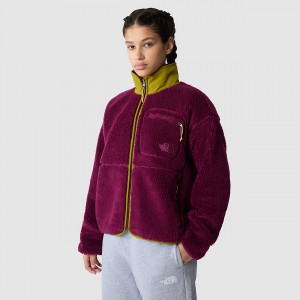 The North Face Extreme Pile Full-Zip Fleece Jacket Boysenberry - Sulphur Moss | JLNACU-073