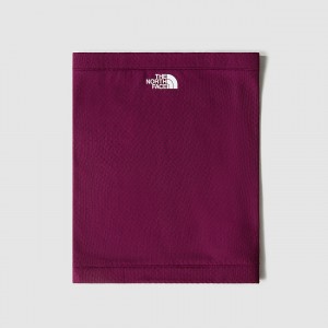 The North Face FUTUREFLEECE™ Gaiter Boysenberry | TBNHXK-602