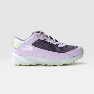 The North Face Fastpack αδιαβροχα ορειβασιασ Shoes Lupine/Lunar Slate | PDBZKG-652