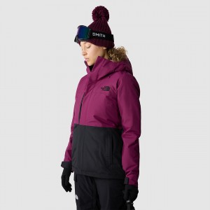 The North Face Freedom Insulated Jacket Boysenberry | EDUVIA-610
