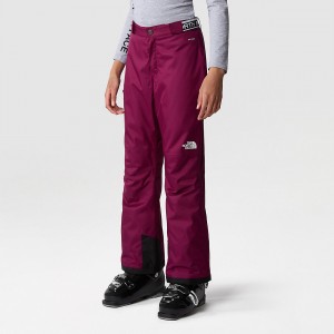 The North Face Freedom Insulated Trousers Boysenberry | QDCAYI-435
