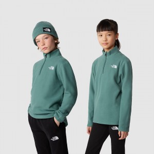 The North Face Glacier 1/4 Zip Fleece σκούρο | VFXAMY-745