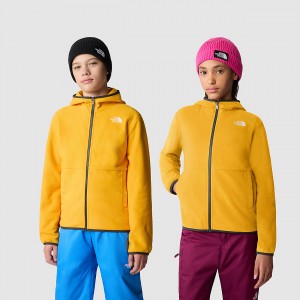 The North Face Glacier Full-Zip Κουκουλοφόρος Jacket χρυσο χρωμα | NWHQTI-674