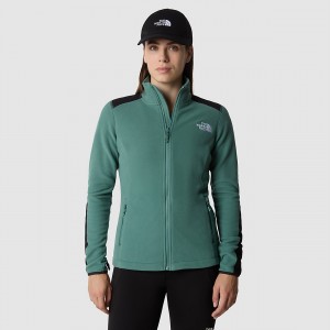 The North Face Glacier Zip-In Fleece σκούρο | ARHVWI-468