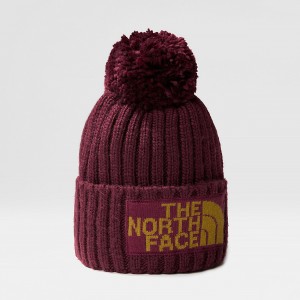 The North Face Heritage Ski Tuke Beanie Boysenberry - Sulphur Moss | QIYRPT-059