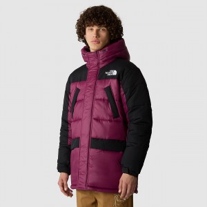 The North Face Himalayan Insulated Parka μαυρα | OTPYES-136