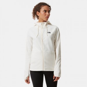 The North Face Homesafe Full-Zip Fleece Hoodie ασπρα | ISACVD-628