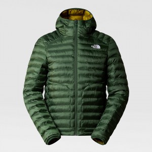 The North Face Huila συνθετικο Insulation Κουκουλοφόρος Jacket Pine Needle - Sulphur Moss | PCWKTE-218