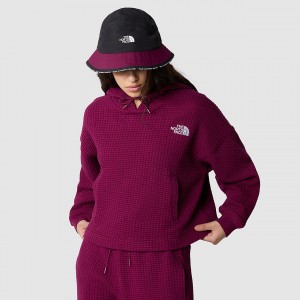 The North Face Mhysa Hoodie Boysenberry | BJVGPA-682