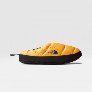 The North Face NSE III Tent Χειμερινά Mules χρυσο χρωμα μαυρα | XQHJUA-203
