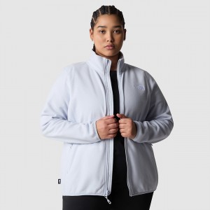 The North Face Plus Size 100 Glacier Full-Zip Fleece Dusty Periwinkle | VGJRYS-124