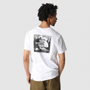 The North Face Redbox Celebration T-Shirt ασπρα | BLROMW-905