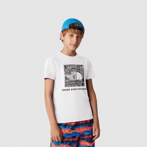 The North Face Redbox T-Shirt ασπρα μαυρα | IDALQS-612