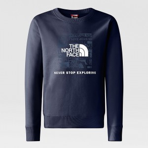 The North Face Redbox πουλοβερ σκουρο μπλε | BVJQGE-631