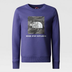 The North Face Redbox πουλοβερ μπλε γκρι καμουφλάζ | ILEJXW-357
