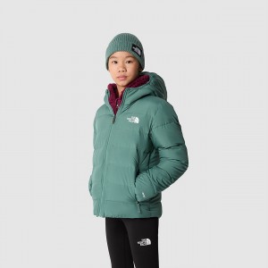 The North Face Reversible North Down Κουκουλοφόρος Jacket σκούρο | GAWJLE-398