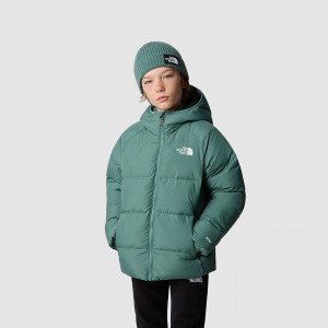 The North Face Reversible North Down Κουκουλοφόρος Jacket σκούρο | SBIZKN-801