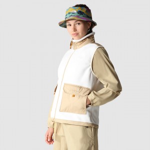 The North Face Royal Arch Gilet ασπρα Χακί | OCHJDN-608