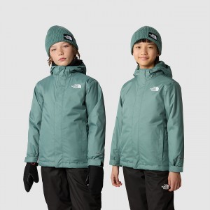 The North Face Snowquest Jacket σκούρο | FJDVUY-342