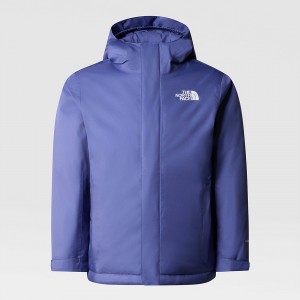 The North Face Snowquest Jacket μπλε | OUDGJK-702