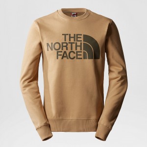 The North Face Standard πουλοβερ Χακί | ZILCBN-263