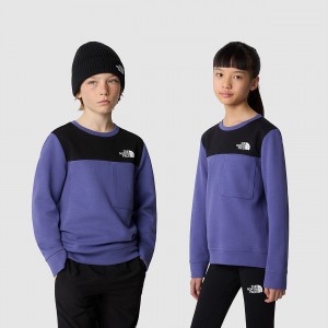 The North Face Tech πουλοβερ μπλε | NEGIUW-174