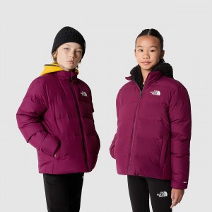 The North Face Teen's Reversible North Down Jacket Boysenberry | PJASMN-796