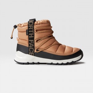 The North Face ThermoBall™ αδιαβροχα δαντελα Up Χειμερινά Boots μαυρα | FQTRCO-402