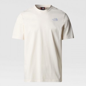 The North Face Vertical Line T-Shirt ασπρα | VQIPEG-201