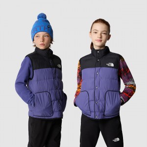 The North Face συνθετικο Insulation Lifestyle Gilet μπλε μαυρα | UXKHBL-243