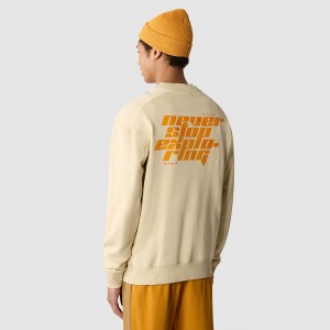 The North Face σταμπεσ πουλοβερ Gravel | RFDPSC-614