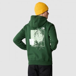 The North Face outdoor σταμπεσ Hoodie Pine Needle | FZVUGO-684
